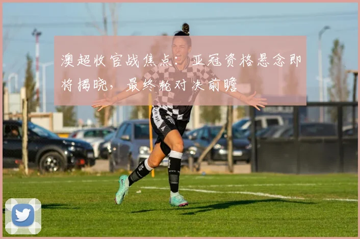 澳超收官战焦点：亚冠资格悬念即将揭晓，最终轮对决前瞻